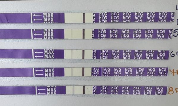 Je v pořádku testovat brzy po embryotransferu?
