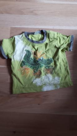 Tričko s krokodylem, next,68