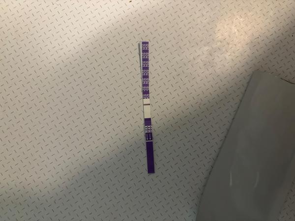 Názor na test: Je to podle vás sluníčko?