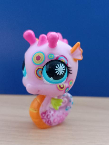 Lps mořský koník zdobený, 