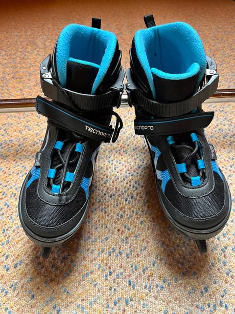 Brusle lední (rostoucí), 33