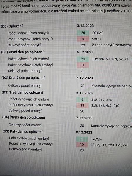 Ani druhý pokus IVF nevyšel. Co lze zkusit dál?