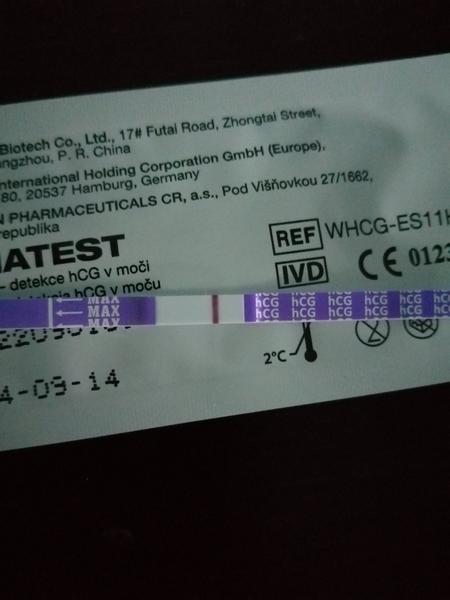 Zpoždění menstruace. Jsou dvě čárky na testu viditelné?