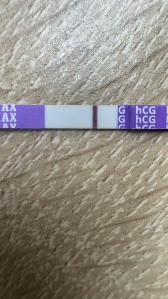 Ryska nebo nic? Diskutujte s námi! ❤️❤️❤️