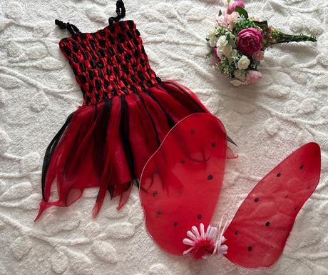 An26/ kostým beruška- v.cca 2/3 roky, 