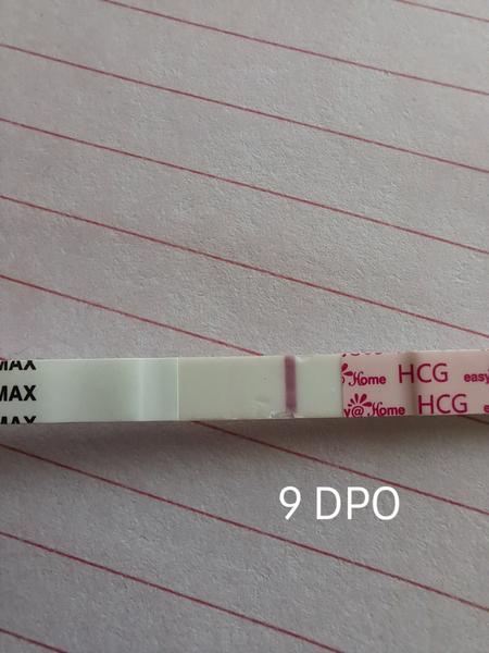 Sílení těhotenského ducha nebo pouze testovací ryska?