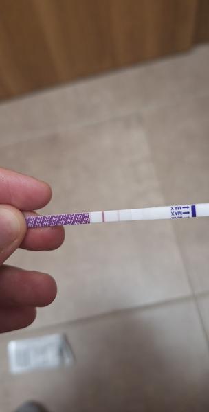 Jak efektivně používat ovulační testy každý druhý den?