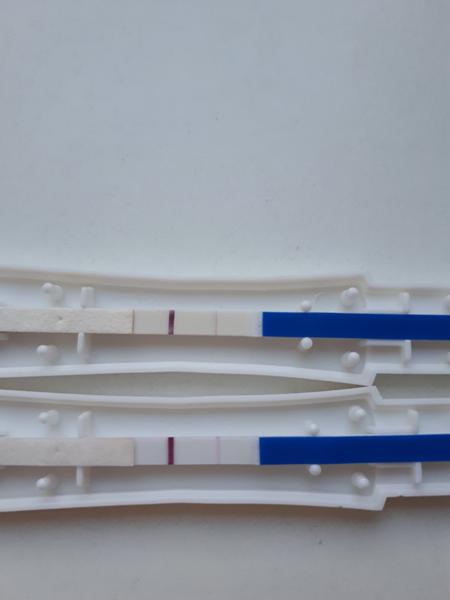 Je test Clearblue spolehlivý?