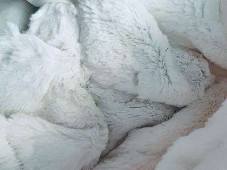 Kombineza zimní - v.80 (86), nutmeg,80