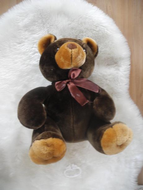 Zvukový medvěd velký, 