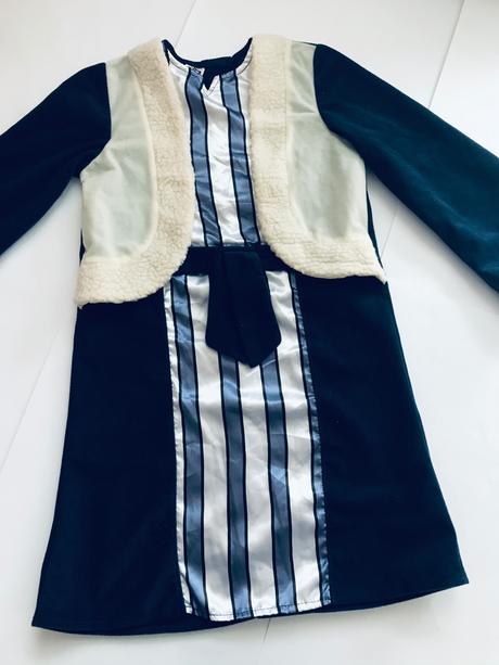 An3/ kostým husopaska - v.3/5 let, 