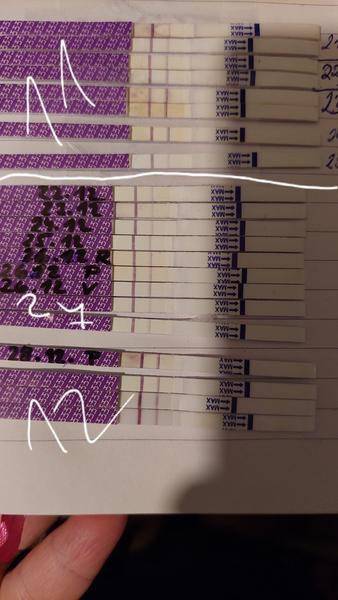 Je výsledek testu opravdu pozitivní?