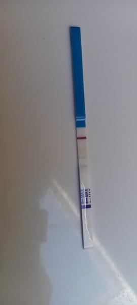 Duch na těhotenském testu. Mohlo by to konečně vyjít?