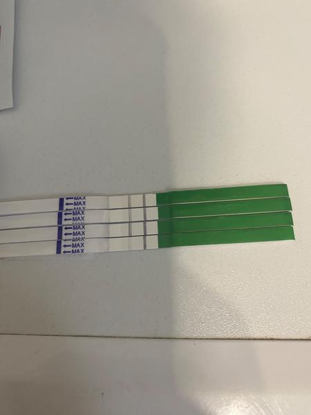 Jak interpretovat výsledky ovulačního testu?