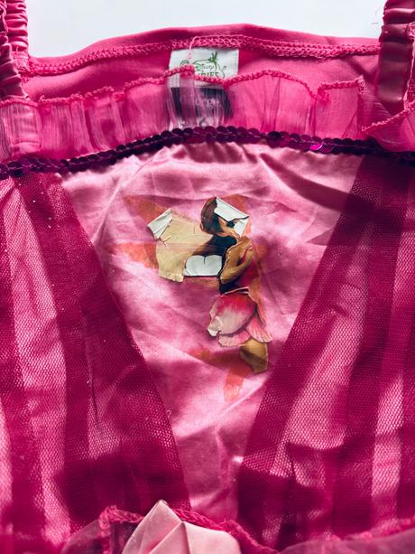 An8/ kostým vilá rozeta / disney - v.5/6 let, 