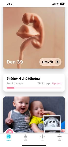 Jak spolehlivý je digitální těhotenský test?