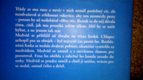Dobrodružný román, 