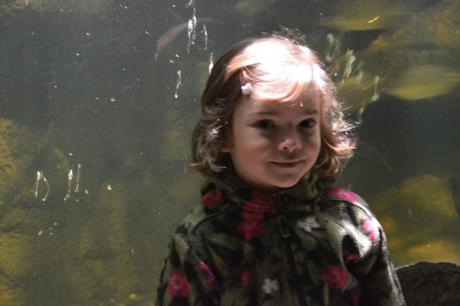 Fleesová mikina se vzorem, 110