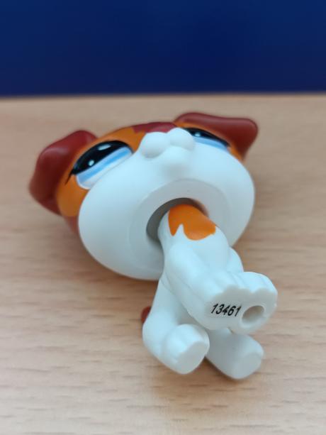 Lps jack russell teriér, 