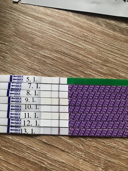 Je šance na otěhotnění po sexu před ovulací?