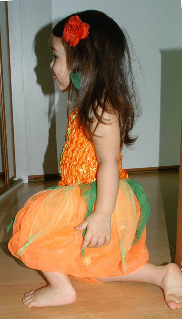 Karnevalové dvoudílné šaty dýňová víla halloween,