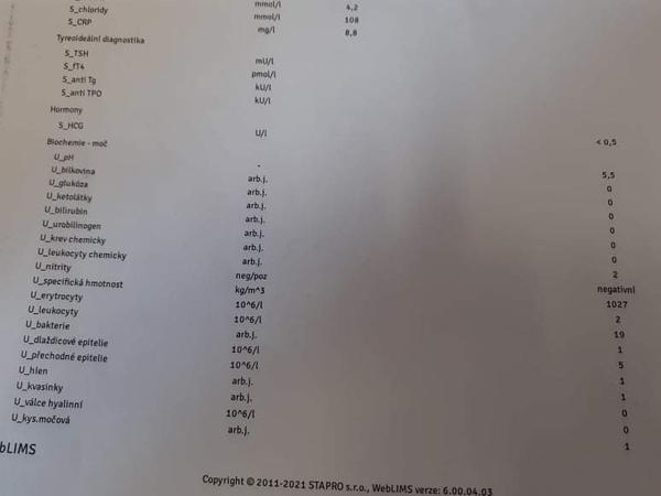 hCG výsledky po ket. Poradíte, prosím?