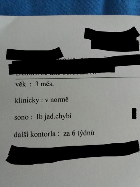 UZ kyčlí - chybí jádra kloubů - co to znamená?