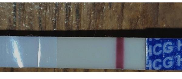 Duch na těhotenském testu nebo spolehlivý negativní výsledek?