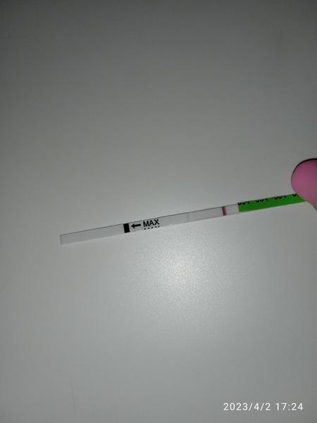 Těhotenský test před menstruací: Je výsledek spolehlivý?
