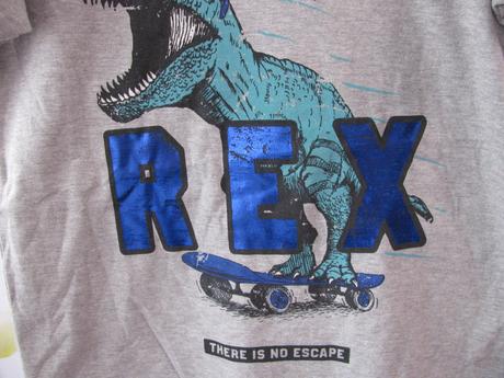 Šedé bavlněné tričko dinosaurus rex, george,158