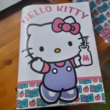 Velké plastové desky na sešity hello kitty,