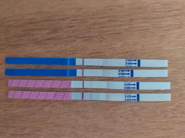 Sílí těhotenské testy dostatečně? Zkušenosti s různými značkami