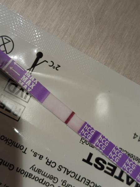 Vidíte ducha na těhotenském testu?