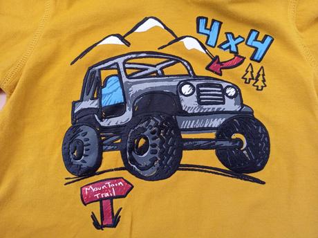 Triko dlouhý rukáv 86, baby club,86