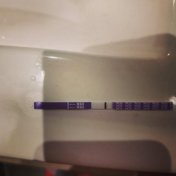 Co myslíte 😃, bude z toho něco?