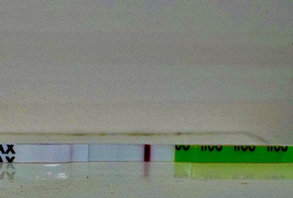 5 dní po menstruačním krvácení. Je Pepino test spolehlivý?