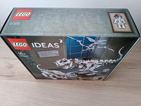 Lego ideas 21320 dinosauří fosilie, 