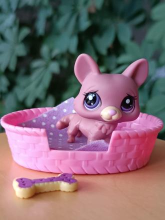 Lps pejsek + pelíšek + deka + kost, 