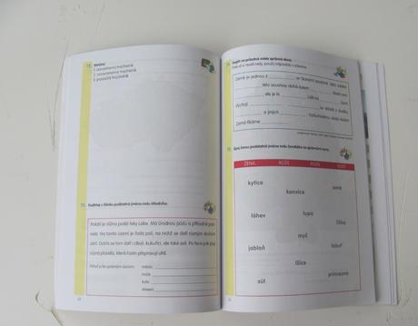 Domácí pracovní sešit 4. třída, 