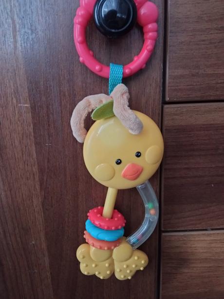 Chrastítko kousátko kuře, 