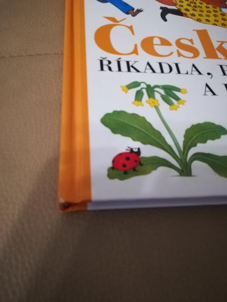 Dětská knížka,