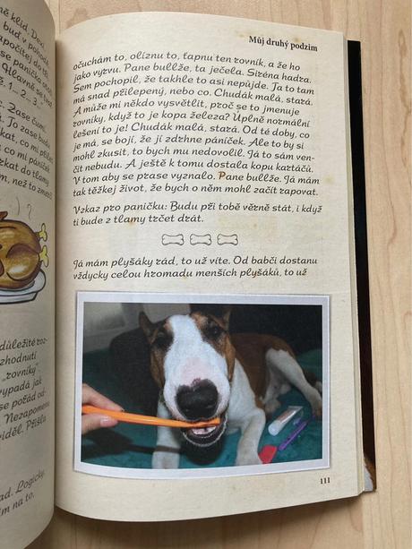 Knížka ze života bulíka - romana skálová,