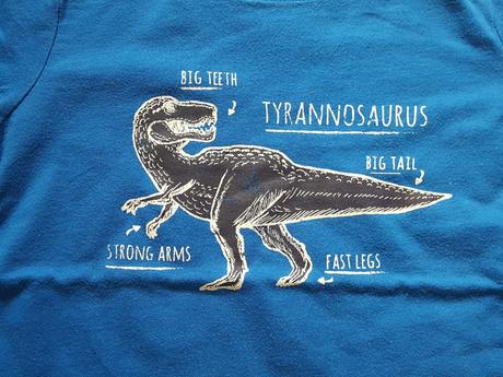 Triko s dinosaurem, lupilu,98