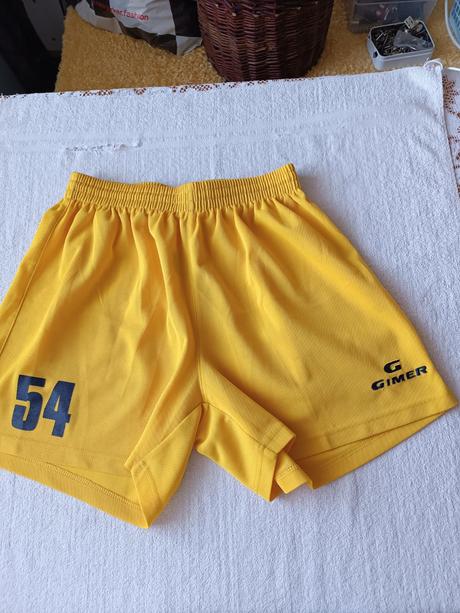 Pánské kraťasy gimer, l