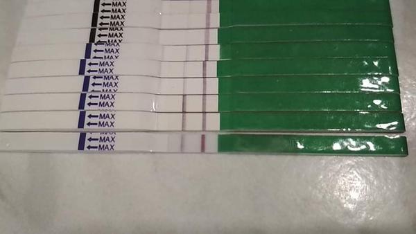 Ovulační test a bt. Chápu to dobře?