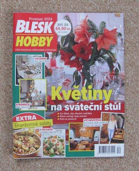 Blesk hobby, 