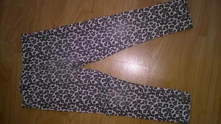 Leginy, lupilu,86