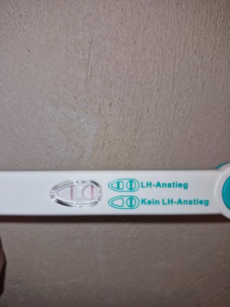 9 dpo