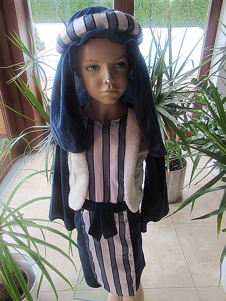 Karnevalový kostým, 