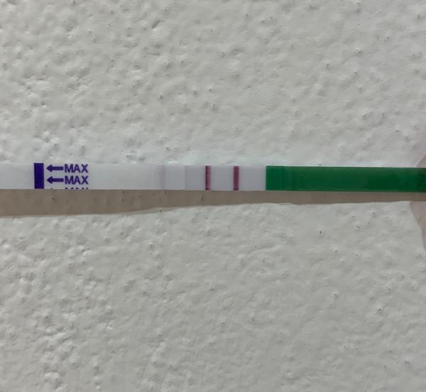 Co znamená 4 dny pozitivní ovulační testy?